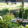 fruehstueck_garten.JPG